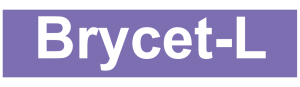 Logos 13